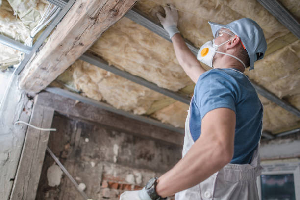 Best Geographic-Specific Insulation Services in Staten Island, NY