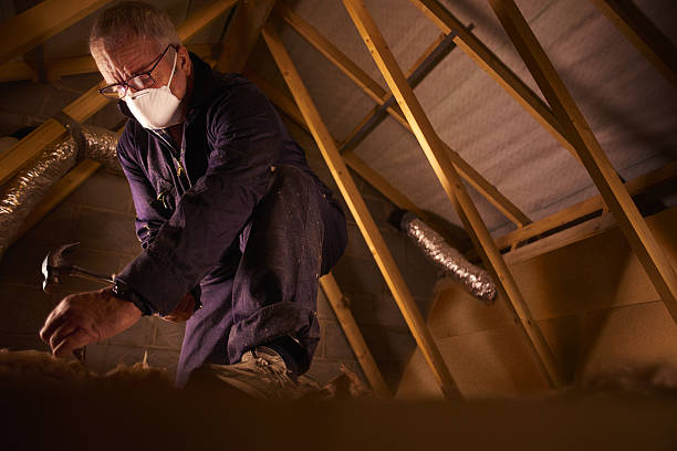 Best Insulation Maintenance and Repair in Staten Island, NY